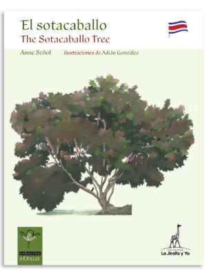 El sotacaballo/ The Sotacaballo Tree