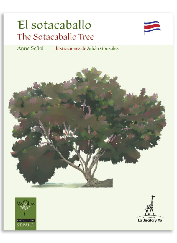 El sotacaballo/ The Sotacaballo Tree