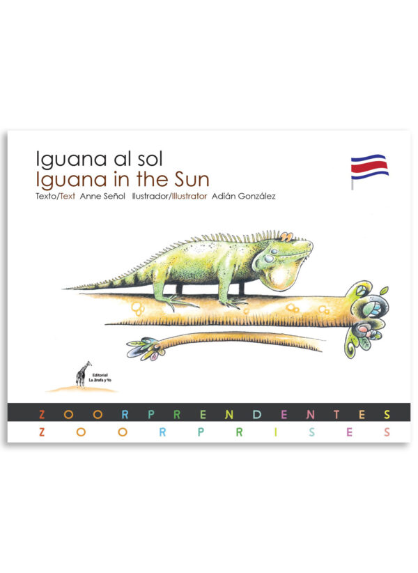 Iguana al sol / Iguana in the Sun