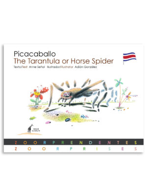Picacaballo/The Tarantula or Horse Spider